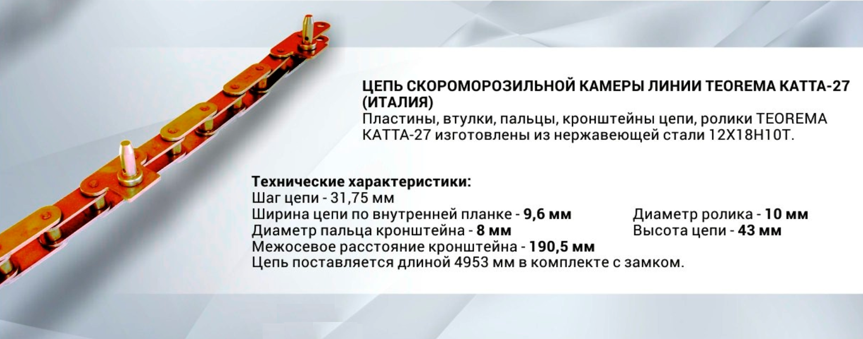 Линия TEOREMA KATTA-27 Цепь нержавеющая скороморозильной камеры Линия TEOREMA KATTA-27 Цепь нержавеющая скороморозильной камеры